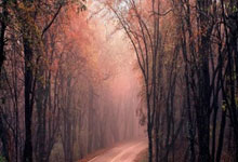 [图]詹姆斯25+12库里13分9助攻 力克勇士.