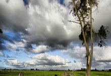 爱游戏体育：[NBA]文班亚马统治内线？内线也有状元！.