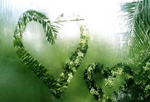 [图]詹姆斯25+12库里13分9助攻 力克勇士.