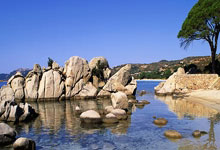 爱游戏体育：乒坛再爆冷门！女单世界第八惨遭淘汰，大藤沙月1-3不敌韩国选手.